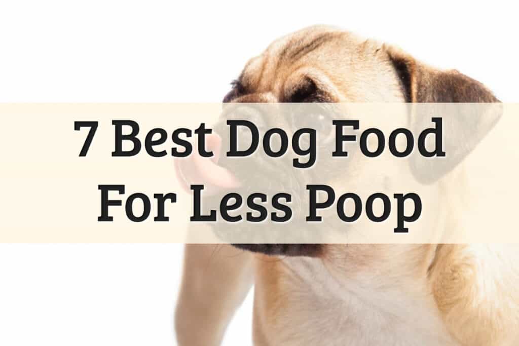 what puppy food makes them poop less