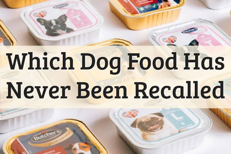 19-dog-food-brands-that-have-never-been-recalled-2022